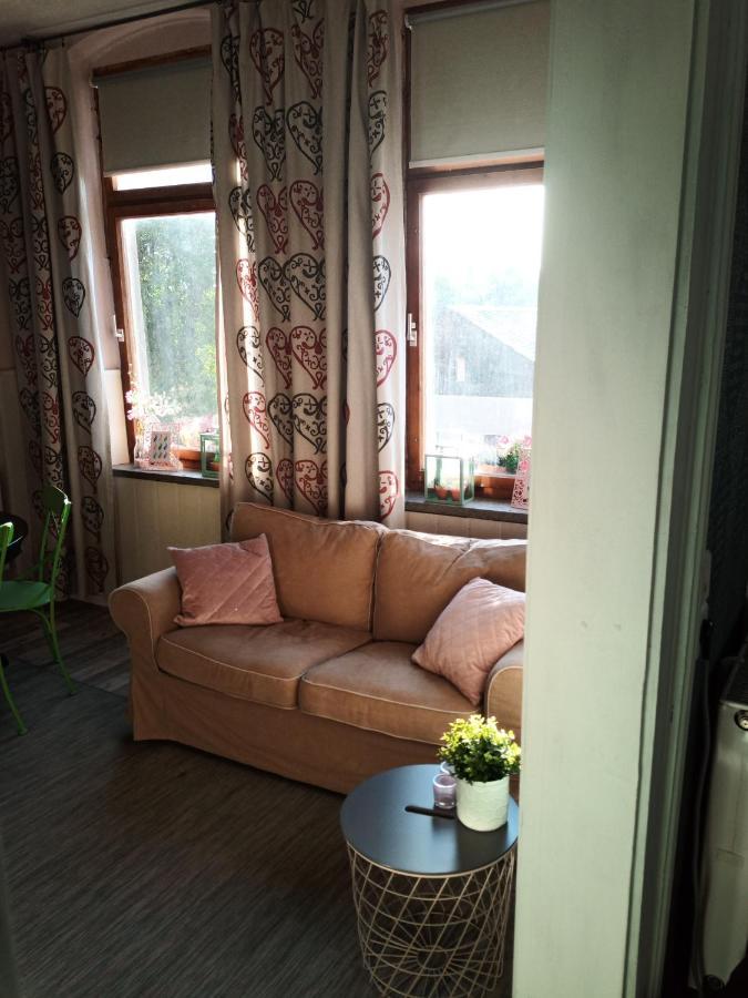 Zur Friedrichsruh Bed & Breakfast Oelsnitz  Bagian luar foto
