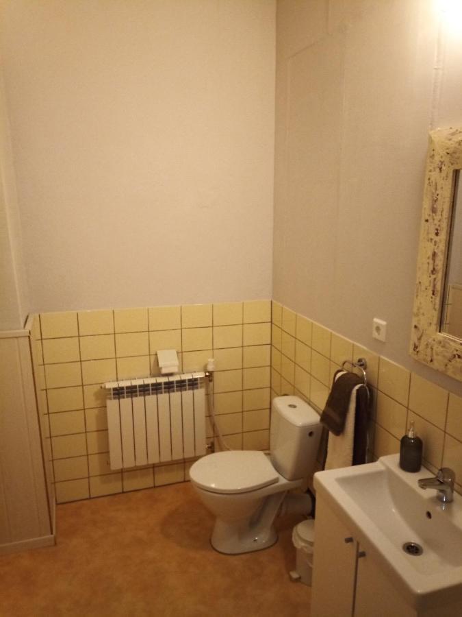 Zur Friedrichsruh Bed & Breakfast Oelsnitz  Bagian luar foto